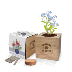 Essentials Desktop Cube Garden